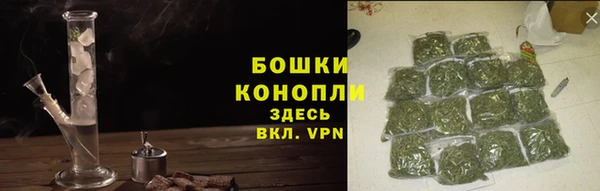 2c-b Белокуриха