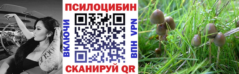 Псилоцибиновые грибы прущие грибы  закладка  Волчанск 
